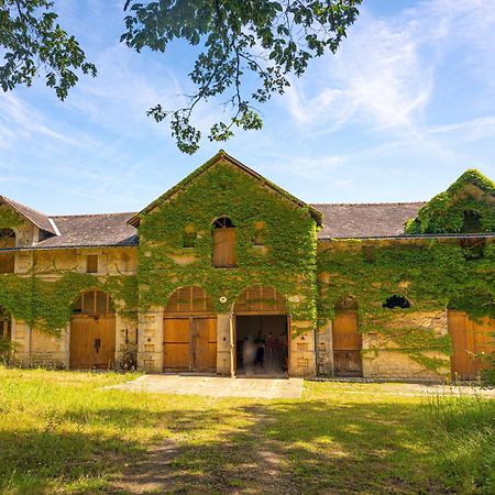Le Chateau Du Breuil Mazières-de-Touraine Dış mekan fotoğraf