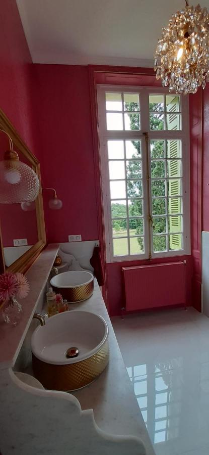 Le Chateau Du Breuil Mazières-de-Touraine Dış mekan fotoğraf